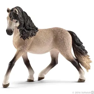 Andalusian Mare 13793