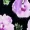 Black And Lilac Floral Printed Tie Waist Jumpsuit
