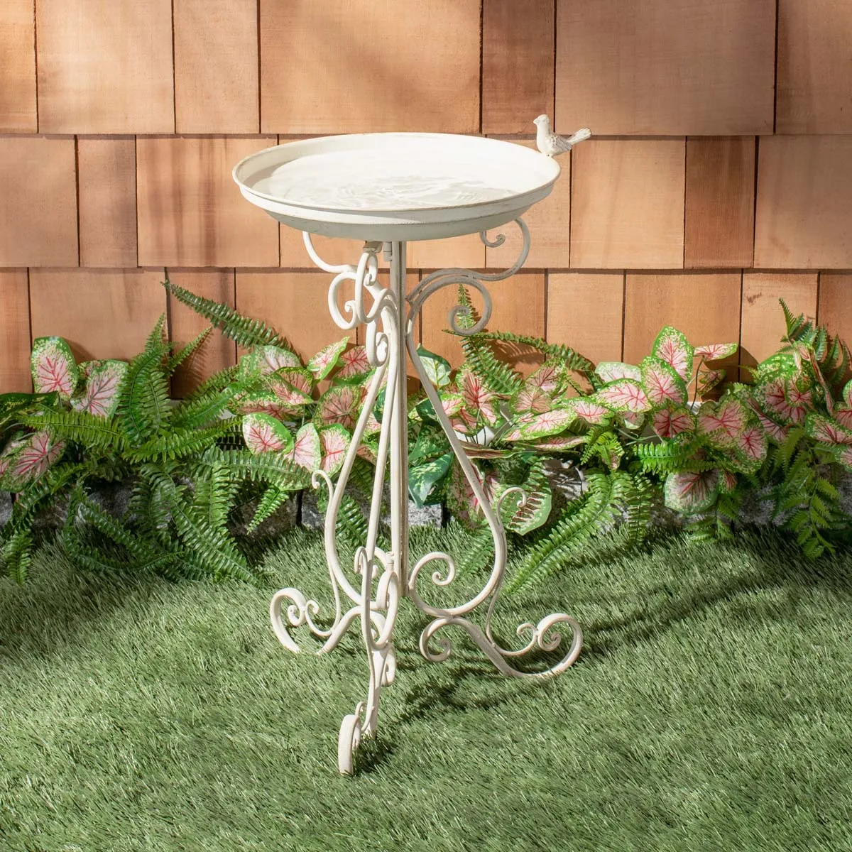 Safavieh Ashlan Bird Bath , PAT5024
